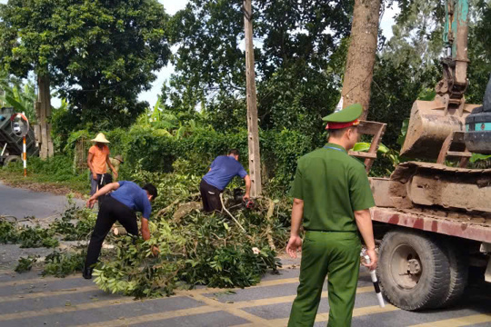 Phòng Kinh tế phối hợp với Công an xã và Ban chỉ huy quân sự xã ra quân cắt tỉa cây xanh, hướng dẫn các hộ dân có nhà tạm phòng chống bão số 9 và số 10